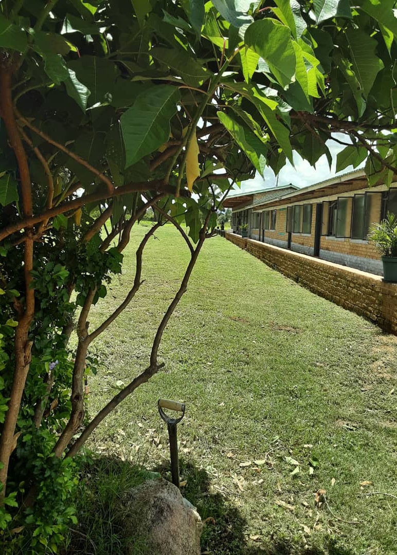 ancillary photo 3 (1)